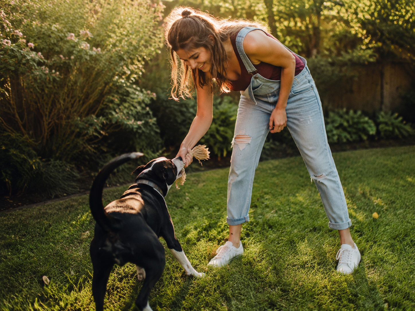 Adult playing with a dog in a garden without visible address